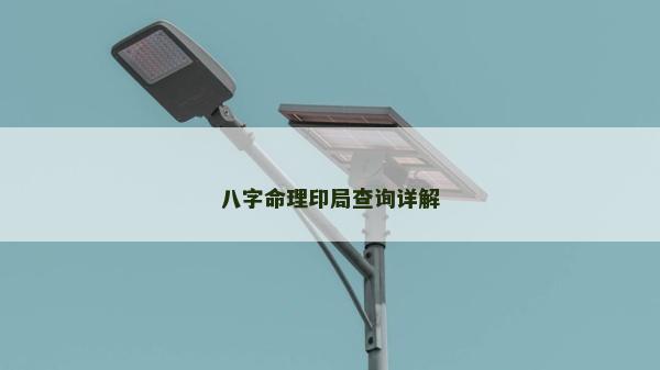 八字命理印局查询详解