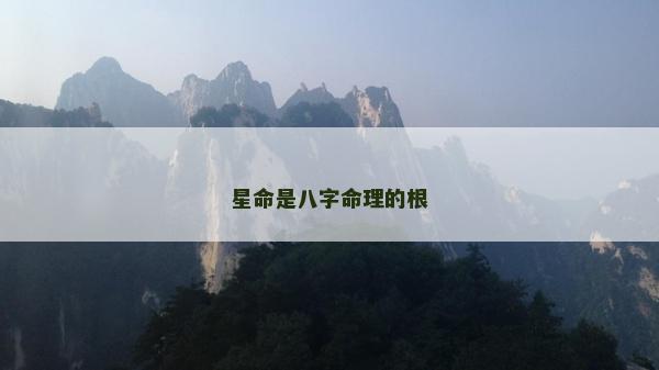 星命是八字命理的根
