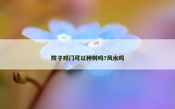 院子对门可以种树吗?风水吗