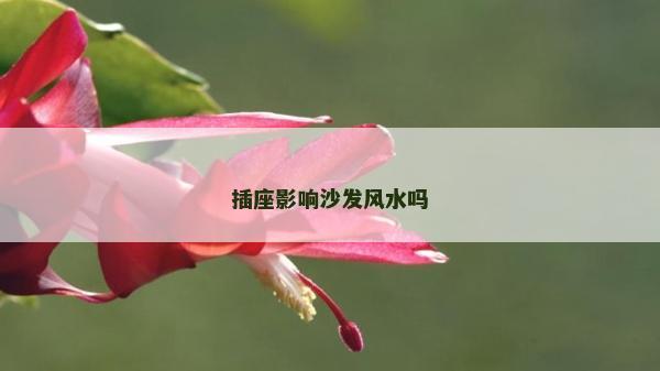插座影响沙发风水吗