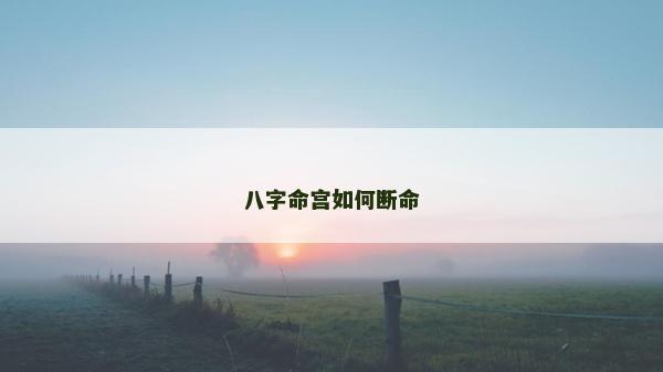 八字命宫如何断命