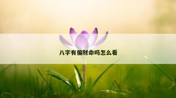 八字有偏财命吗怎么看