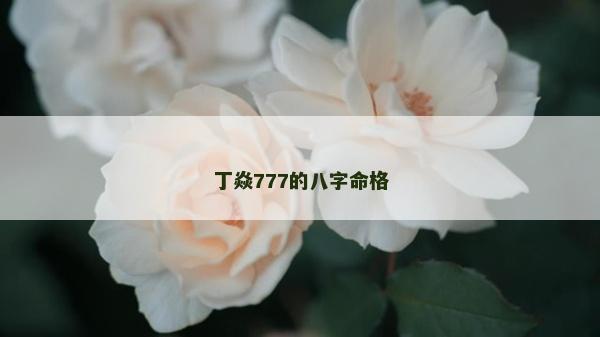 丁焱777的八字命格