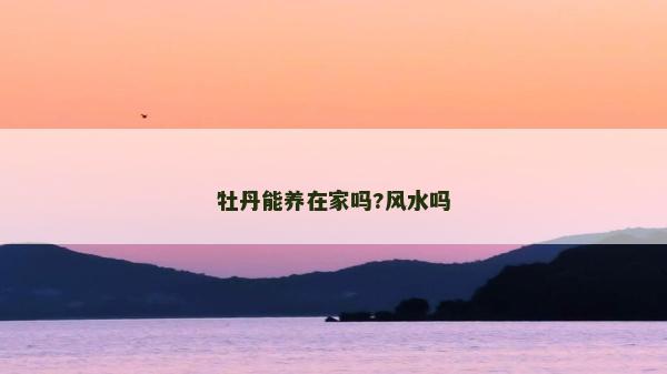 牡丹能养在家吗?风水吗