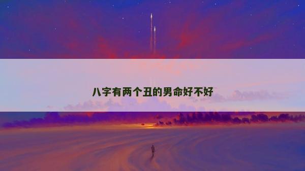 八字有两个丑的男命好不好