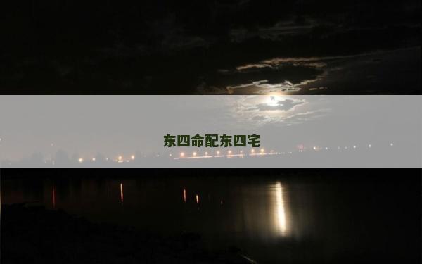 东四命配东四宅