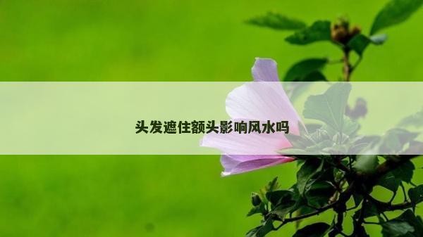 头发遮住额头影响风水吗