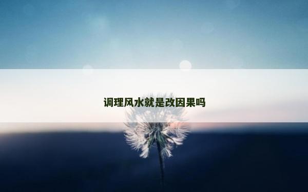 调理风水就是改因果吗