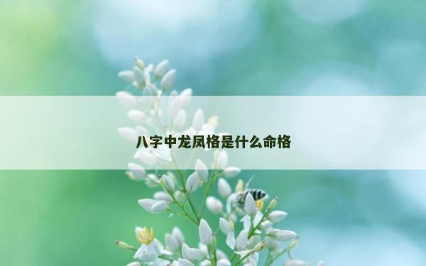 八字中龙凤格是什么命格