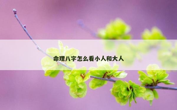 命理八字怎么看小人和大人