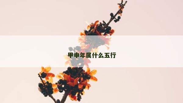 甲申年属什么五行