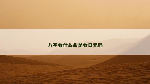 八字看什么命是看日元吗