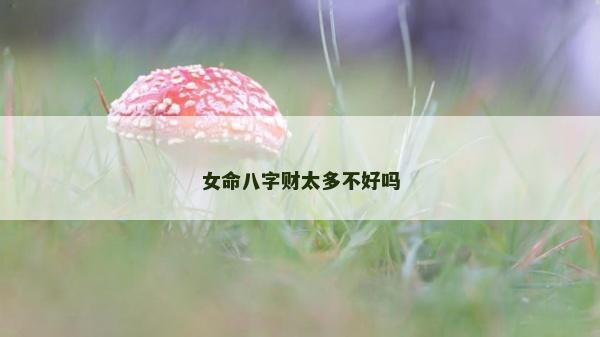 女命八字财太多不好吗