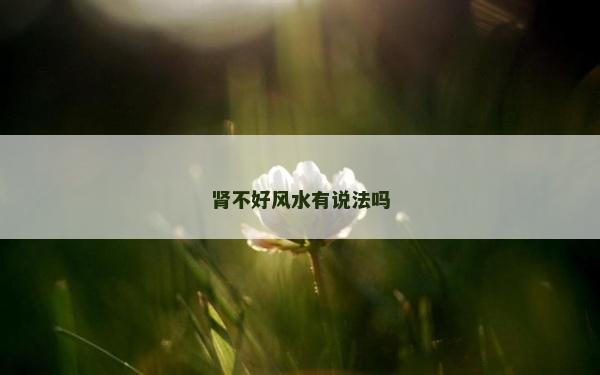 肾不好风水有说法吗