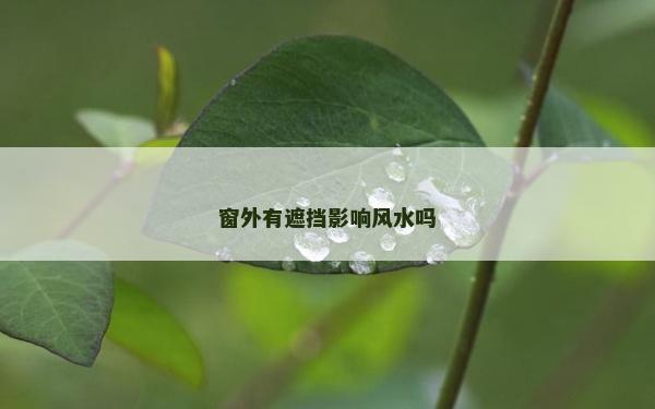 窗外有遮挡影响风水吗