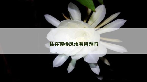 住在顶楼风水有问题吗