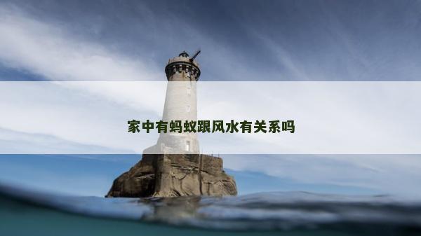家中有蚂蚁跟风水有关系吗