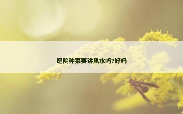 庭院种菜要讲风水吗?好吗