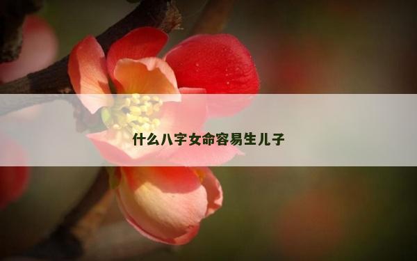 什么八字女命容易生儿子