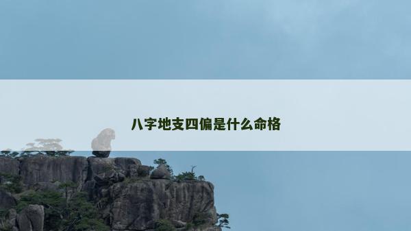 八字地支四偏是什么命格