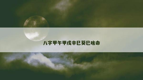 八字甲午甲戌辛巳葵巳啥命