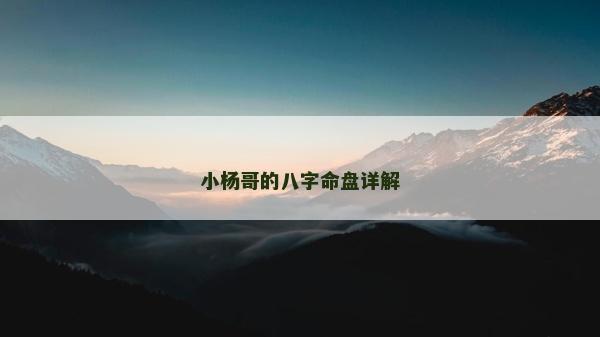小杨哥的八字命盘详解