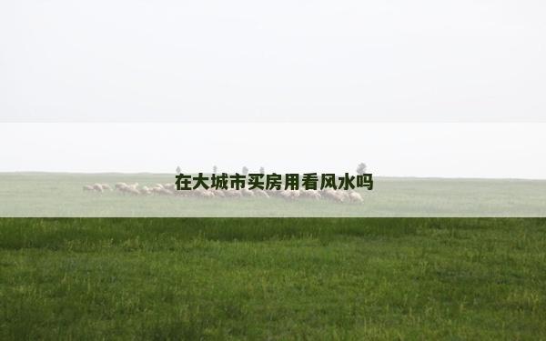 在大城市买房用看风水吗