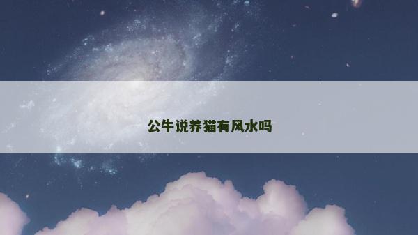 公牛说养猫有风水吗