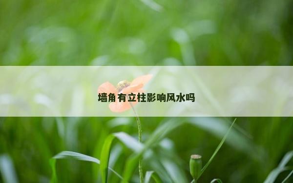 墙角有立柱影响风水吗