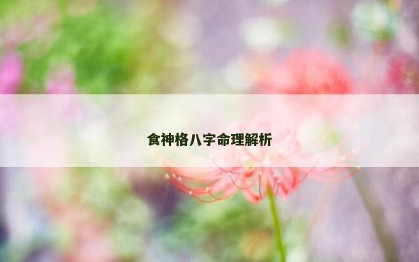 食神格八字命理解析