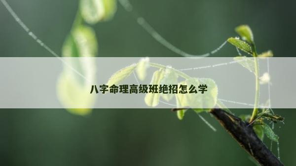 八字命理高级班绝招怎么学