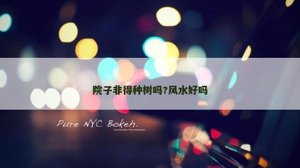 院子非得种树吗?风水好吗