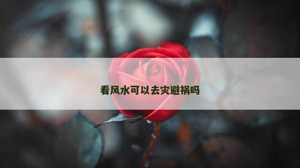 看风水可以去灾避祸吗