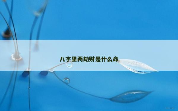 八字里两劫财是什么命