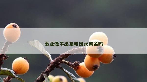 事业做不出来和风水有关吗