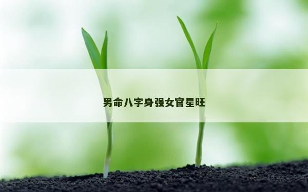 男命八字身强女官星旺