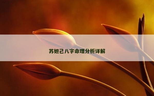 苏妲己八字命理分析详解