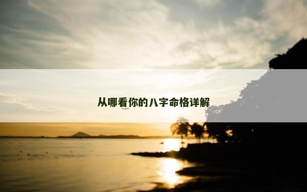 从哪看你的八字命格详解