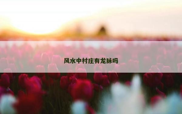 风水中村庄有龙脉吗
