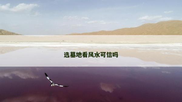 选墓地看风水可信吗
