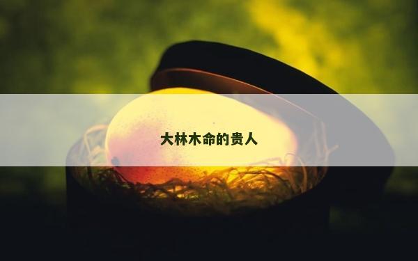 大林木命的贵人