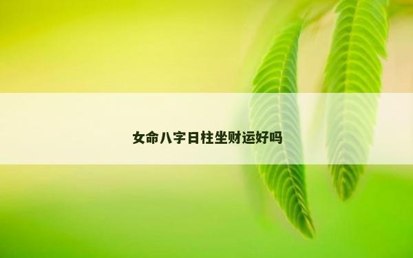 女命八字日柱坐财运好吗