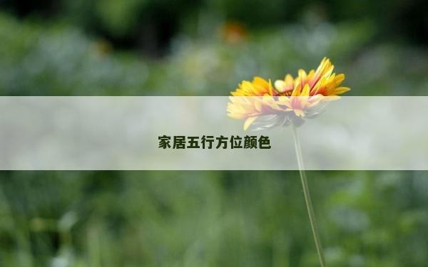 家居五行方位颜色