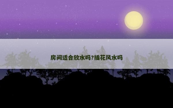 房间适合放水吗?插花风水吗