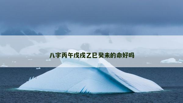 八字丙午戊戌乙巳癸未的命好吗