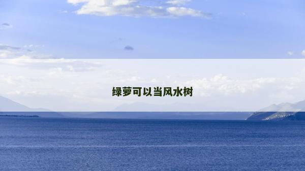 绿萝可以当风水树