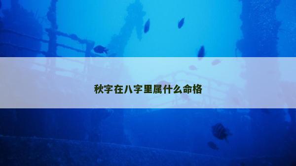 秋字在八字里属什么命格