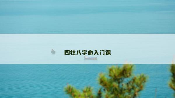 四柱八字命入门课