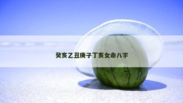 癸亥乙丑庚子丁亥女命八字