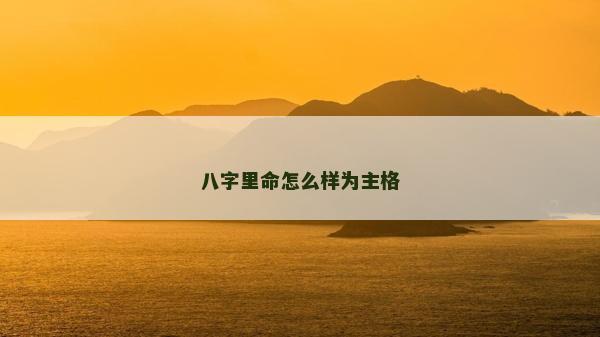 八字里命怎么样为主格